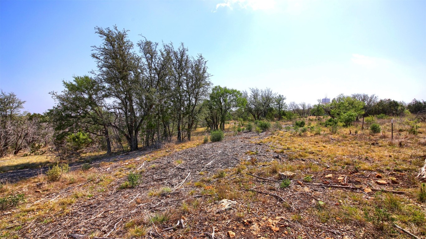 0 Mormon Mill Road Marble Falls, TX 78654 - Photo 20 of 36 a view of a yard with trees