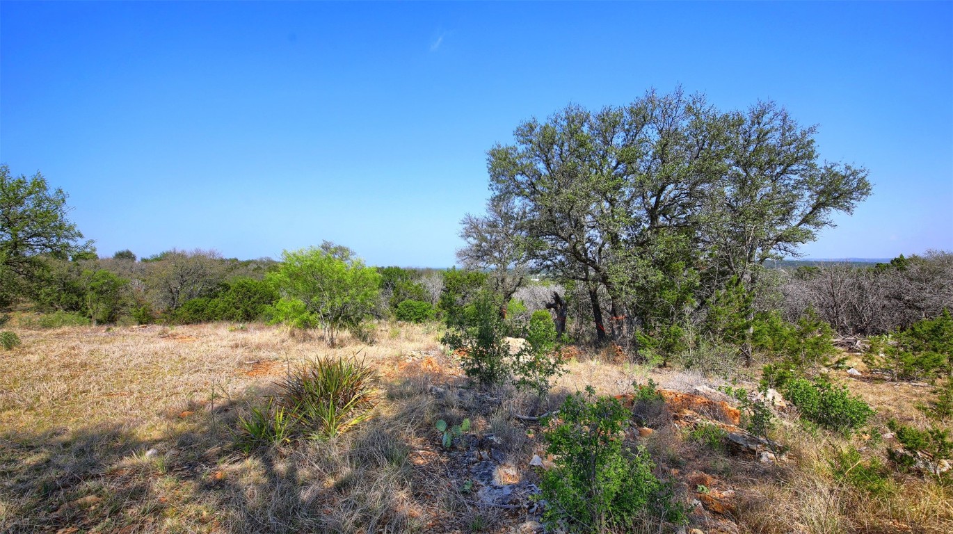 0 Mormon Mill Road Marble Falls, TX 78654 - Photo 22 of 36 a view of a forest with trees in the background