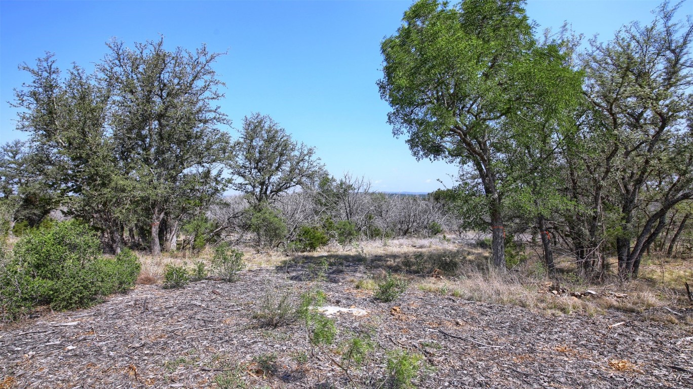 0 Mormon Mill Road Marble Falls, TX 78654 - Photo 24 of 36 a view of a yard with plants and trees