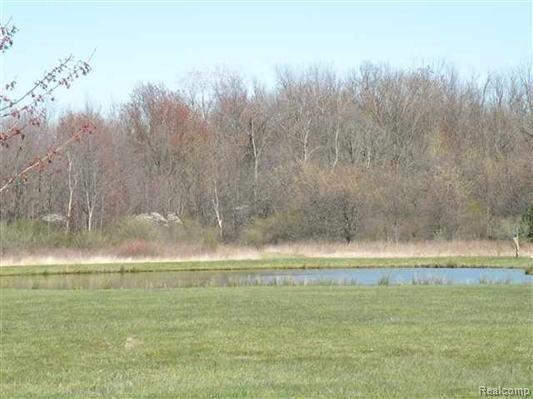 1888 Cornwell Road Memphis, MI 48041 - Photo 22 of 25 421 (2).jpg