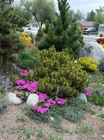 a front view of a house with lots of flowers and trees
