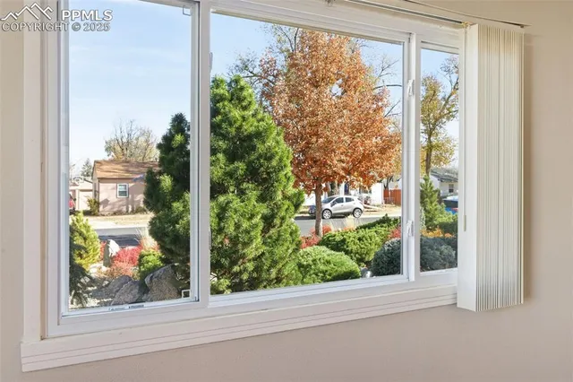 a view of a backyard