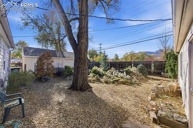a tree in the middle of a yard