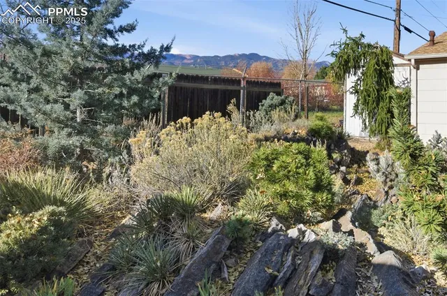 front view of a house with a large tree
