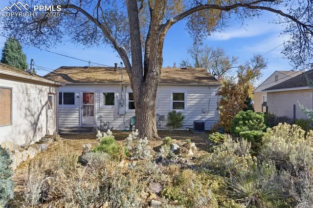 a view of a garden with plants and flowers