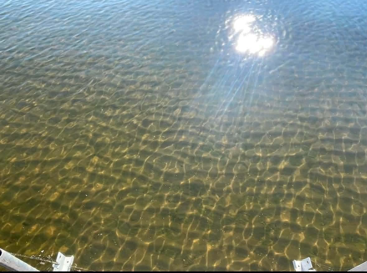 7433 Highway 169 Garrison, MN 56450 - Photo 3 of 16