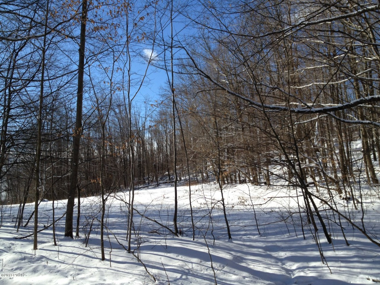 Long Pond Road Prompton, PA 18456 - Photo 2 of 2