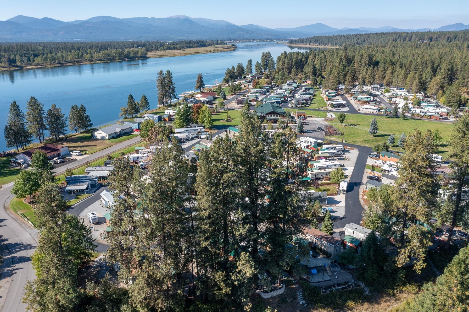 157 Tall Pne Loop South Usk, WA 99180 - Photo 36 of 50