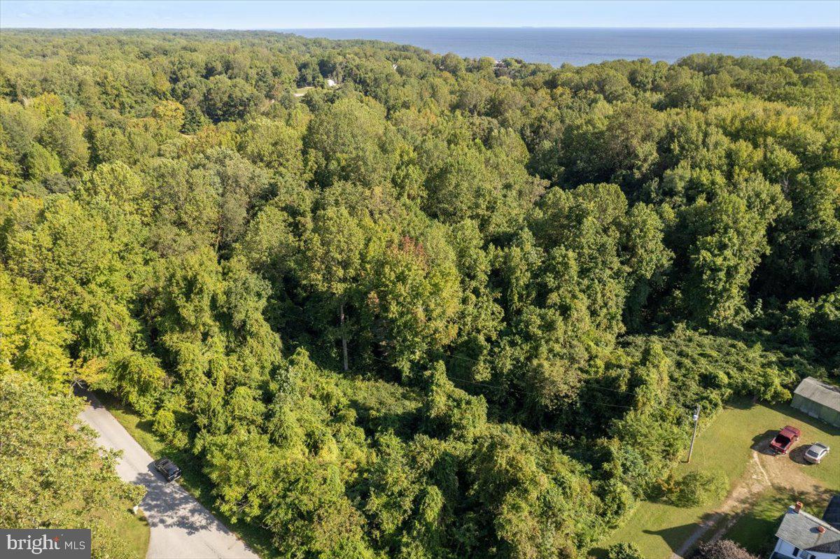 56 Goldstein Road Prince Frederick, MD 20678 - Photo 3 of 7