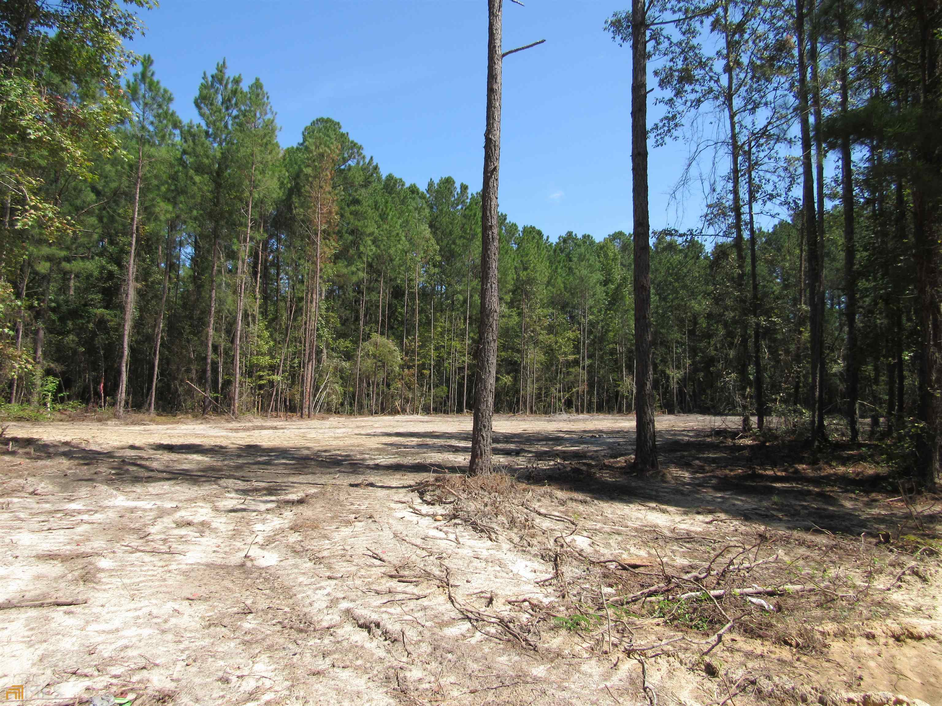 0 Ebenezer Church Road, Unit TRACT 1 Swainsboro, GA 30401 - Photo 1 of 1 Gallery Image 1