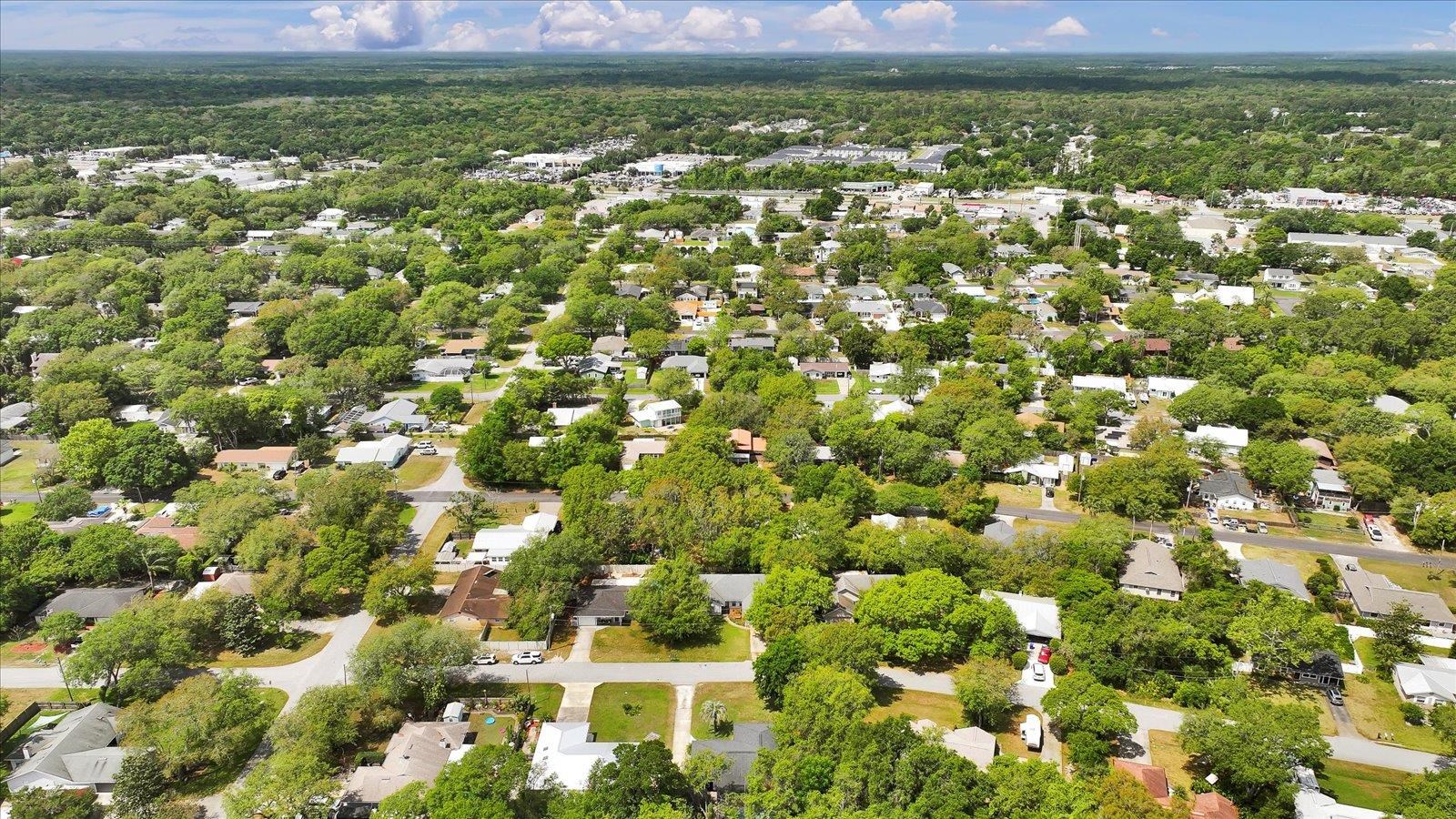135 Orchis Road St. Augustine, FL 32086 - Photo 9 of 50 a view of a big yard