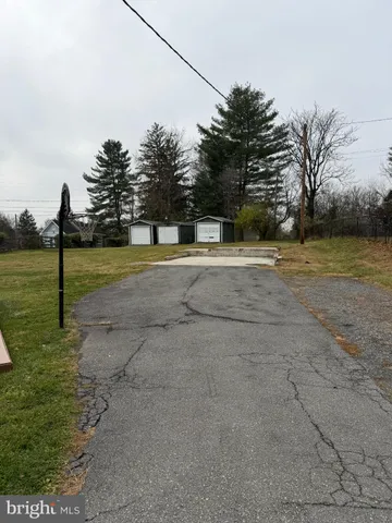 a view of a yard with palm trees