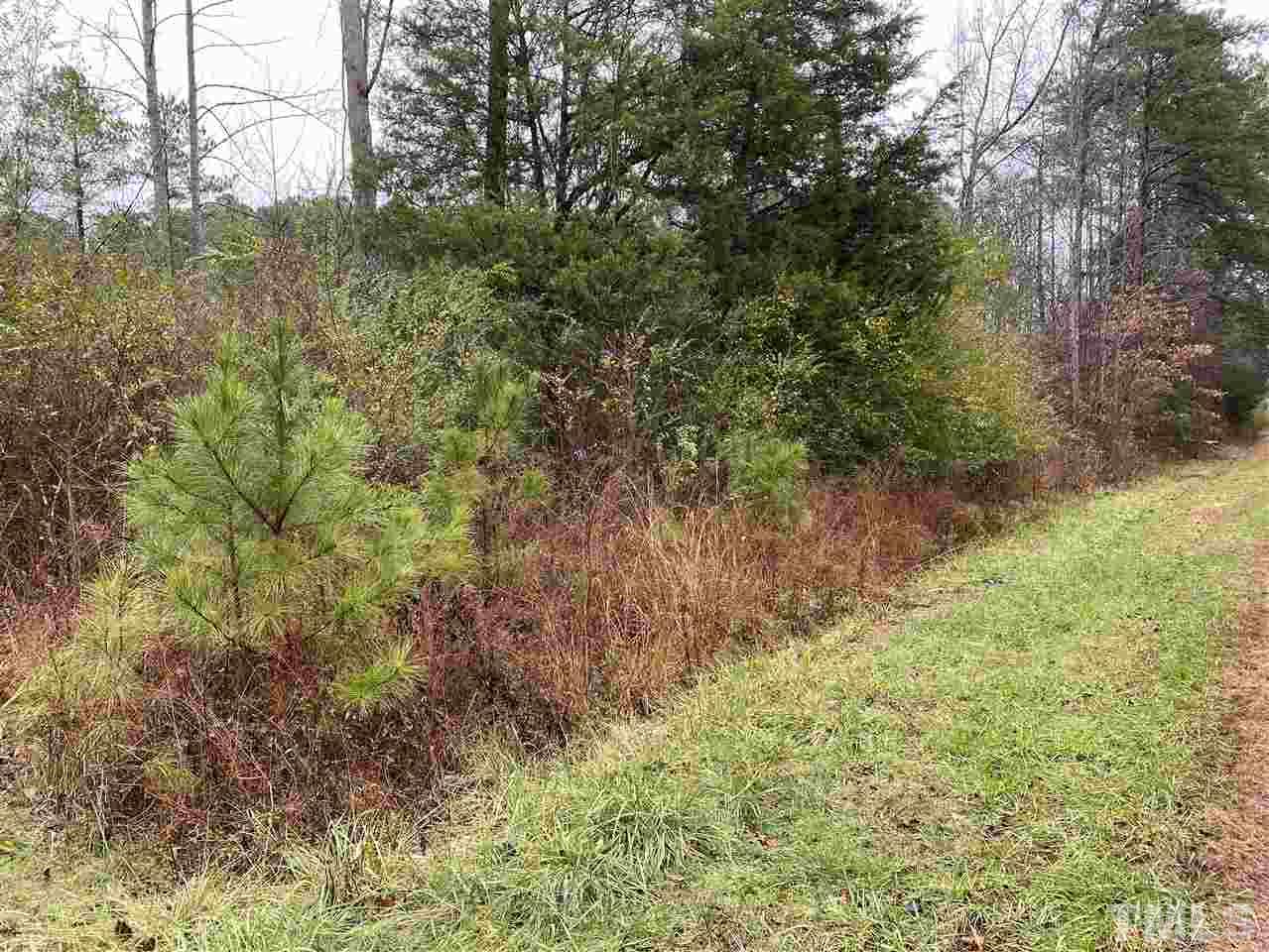 3109 Ellis Chapel Road Bahama, NC 27503 - Photo 1 of 6