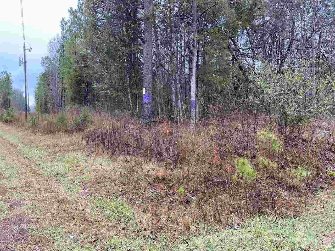 3109 Ellis Chapel Road Bahama, NC 27503 - Photo 2 of 6