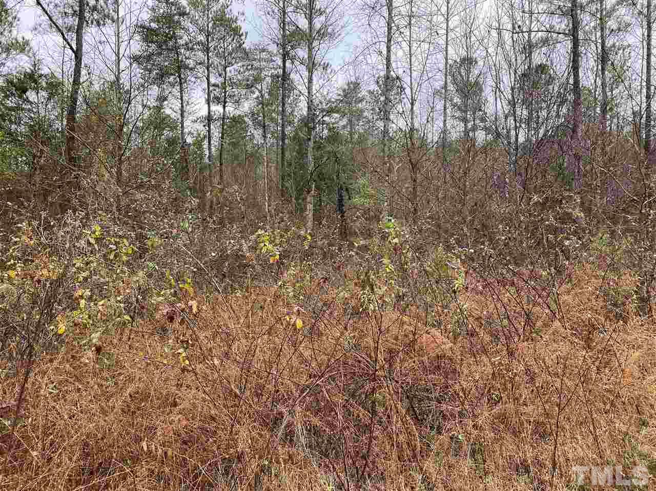 3109 Ellis Chapel Road Bahama, NC 27503 - Photo 4 of 6