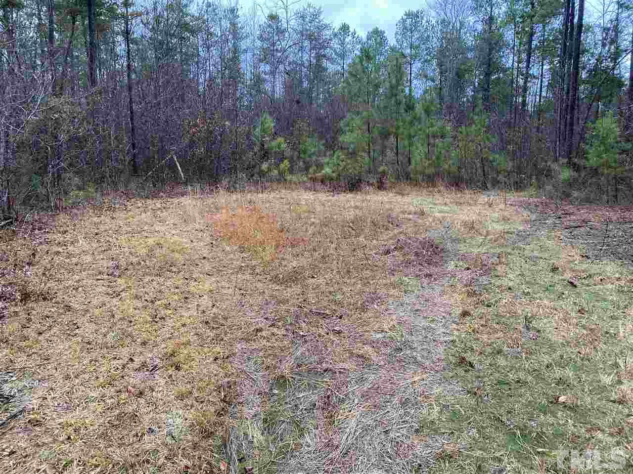 3109 Ellis Chapel Road Bahama, NC 27503 - Photo 5 of 6