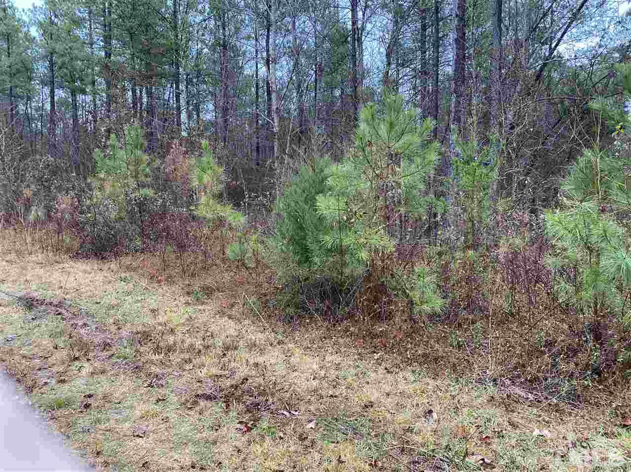3109 Ellis Chapel Road Bahama, NC 27503 - Photo 6 of 6