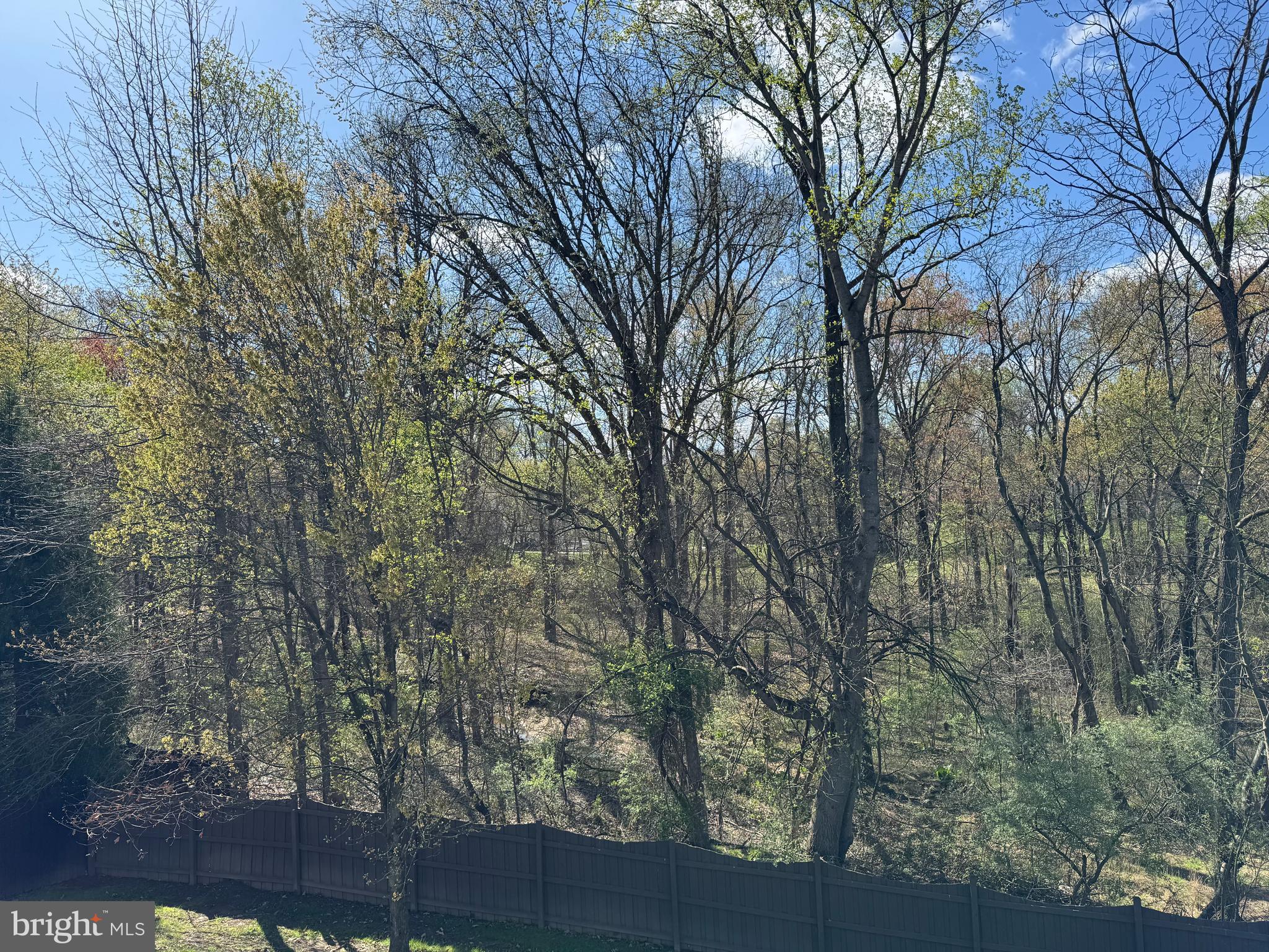 9531 Rommel Drive Columbia, MD 21046 - Photo 51 of 54 View From Deck