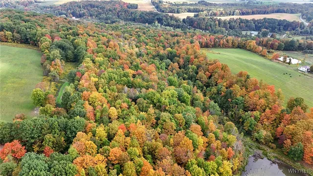 $334,900 | 8246 Ballard Road, Centerville, NY 14735