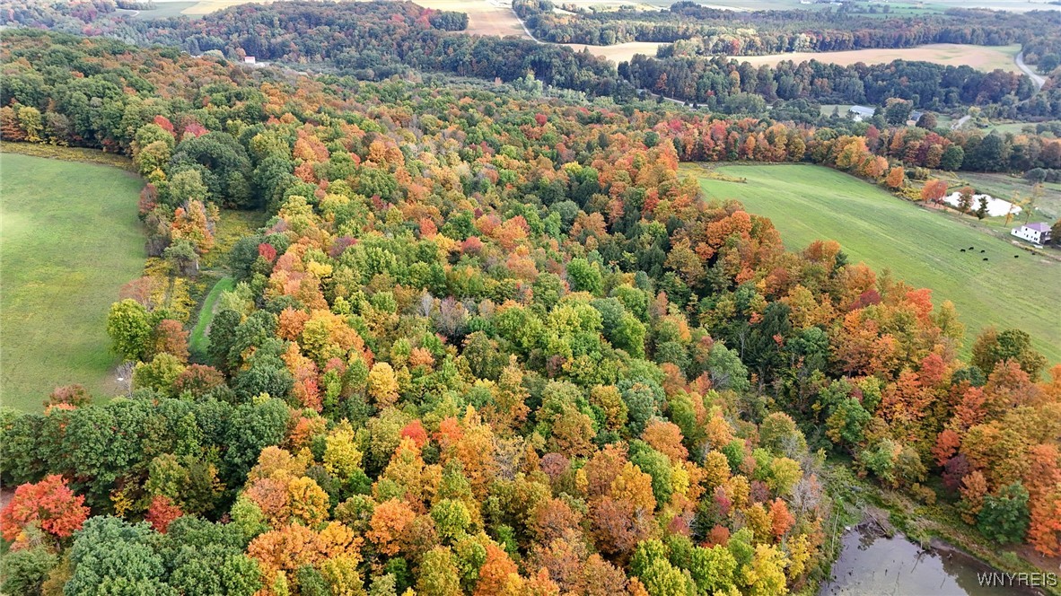 8246 Ballard Road Centerville, NY 14735 - Photo 11 of 50