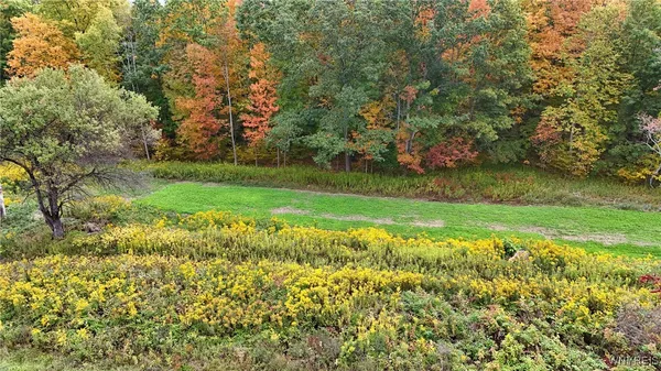 $334,900 | 8246 Ballard Road, Centerville, NY 14735