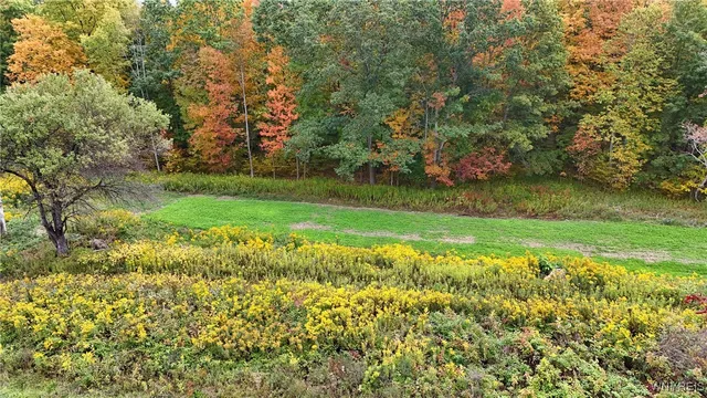 $334,900 | 8246 Ballard Road, Centerville, NY 14735