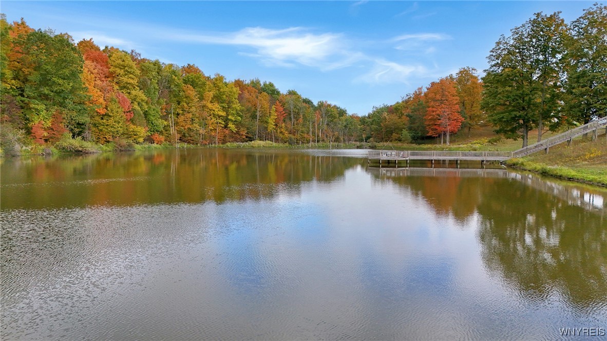 8246 Ballard Road Centerville, NY 14735 - Photo 23 of 50