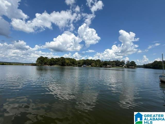 105 Hollis Court Road Vincent, AL 35178 - Photo 1 of 41 Gallery Image 1