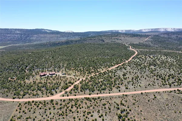 a view of a dry yard with trees