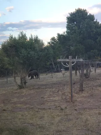 $925,000 | 76 County Road, Maybell, CO 81640