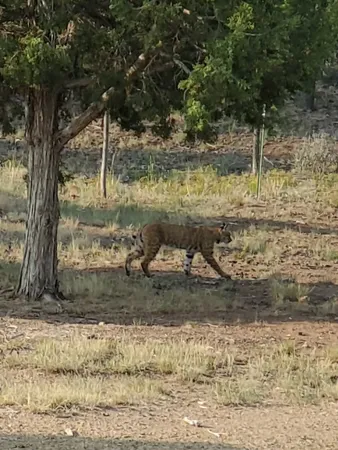 $925,000 | 76 County Road, Maybell, CO 81640