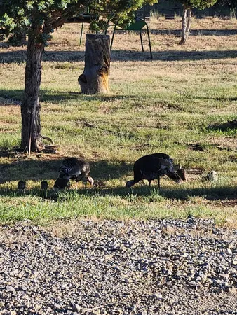 $925,000 | 76 County Road, Maybell, CO 81640