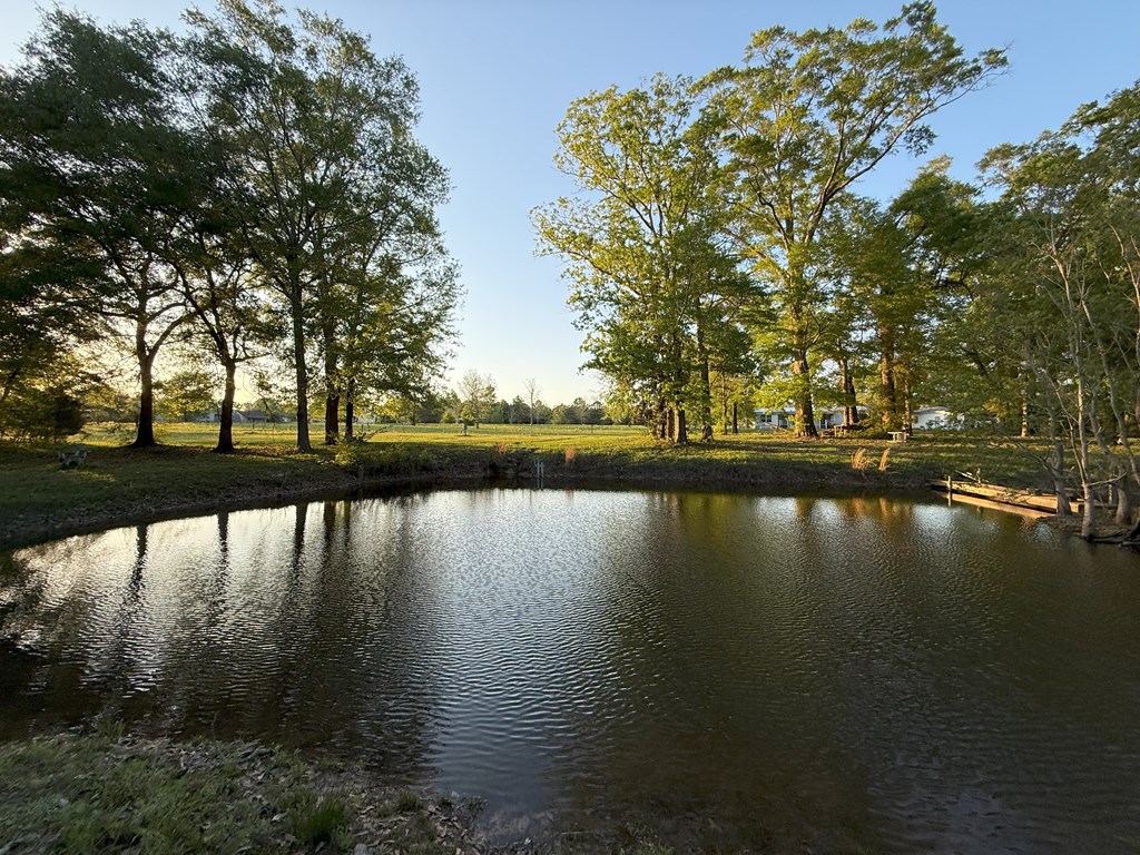212 Man Hall Road Dothan, AL 36305 - Photo 29 of 39