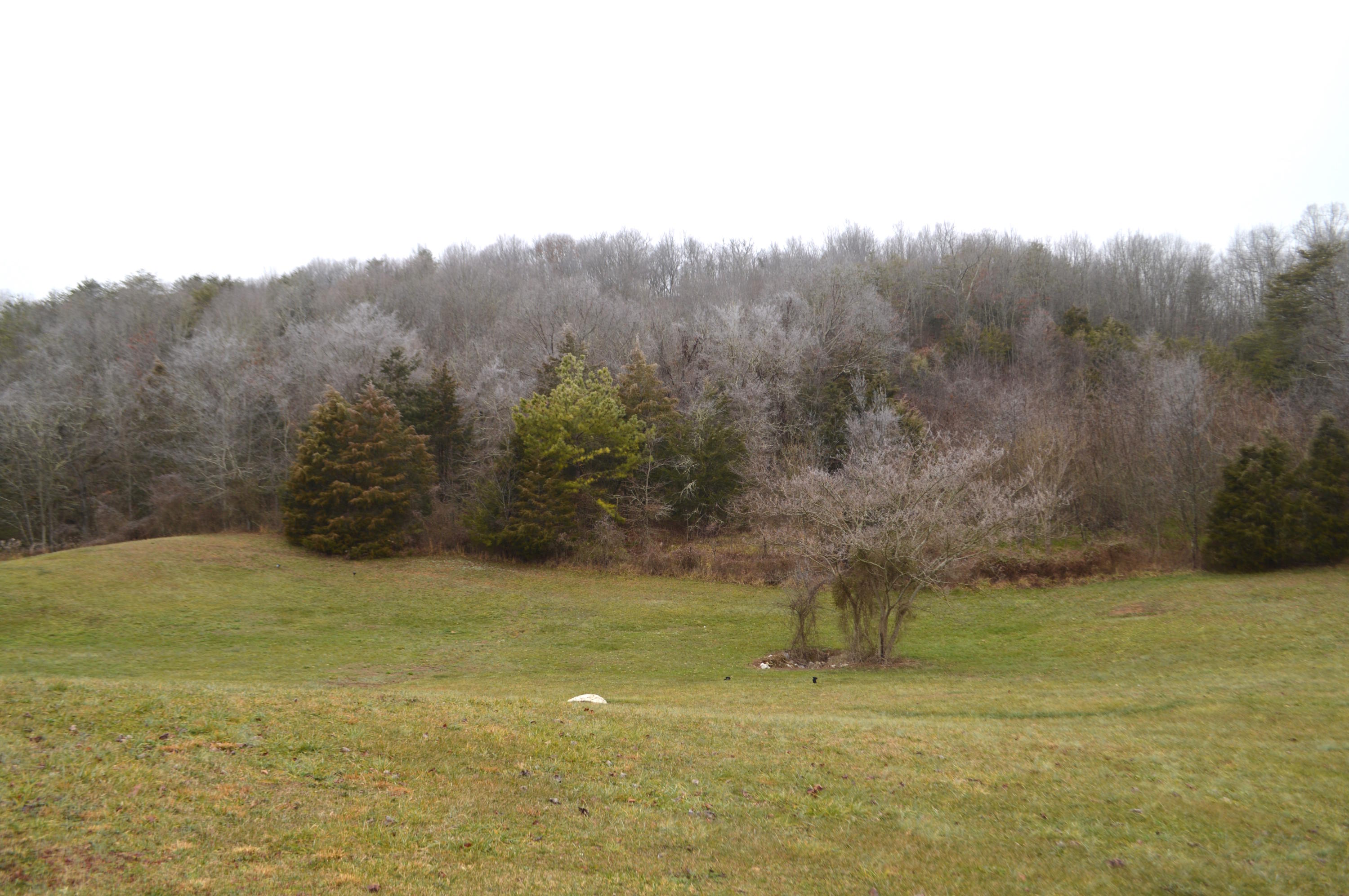 3060 Poplar Springs Road Greeneville, TN 37743 - Photo 4 of 26 DSC_0752