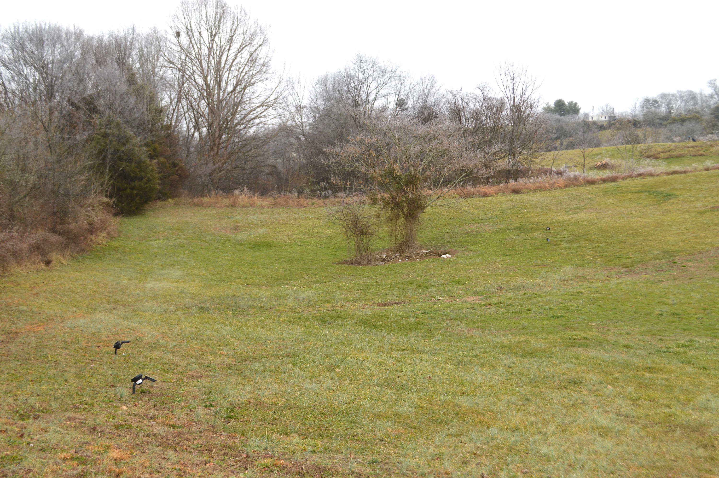 3060 Poplar Springs Road Greeneville, TN 37743 - Photo 7 of 26 DSC_0756