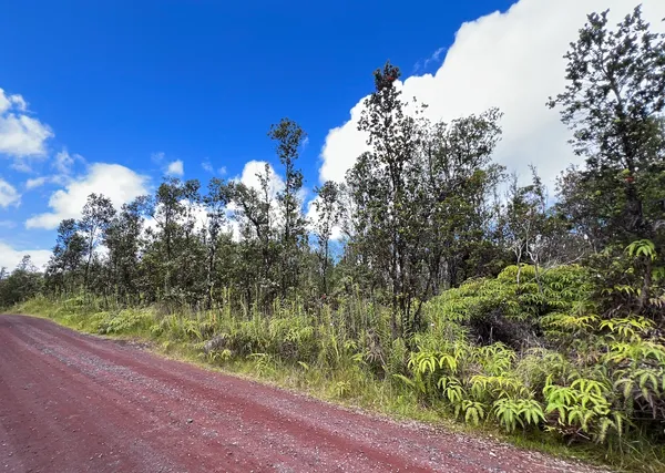 $219,000 | 8568 Apele Road, Mountain View, HI 96771