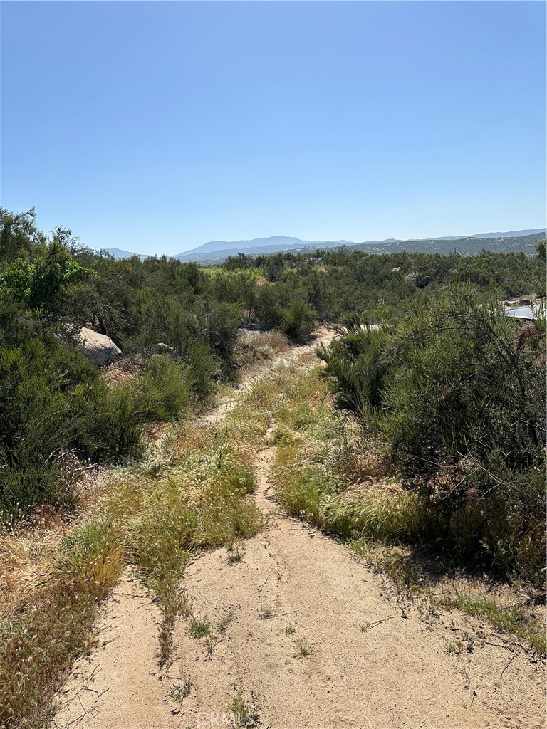 66 Rocky Knoll Road Hemet, CA 92544 - Photo 9 of 11 a view of a covered with trees in the background
