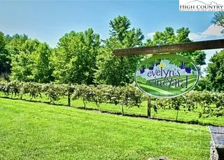 $1,488,000 | 1989 Johns Ridge Parkway, Lenoir, NC 28645