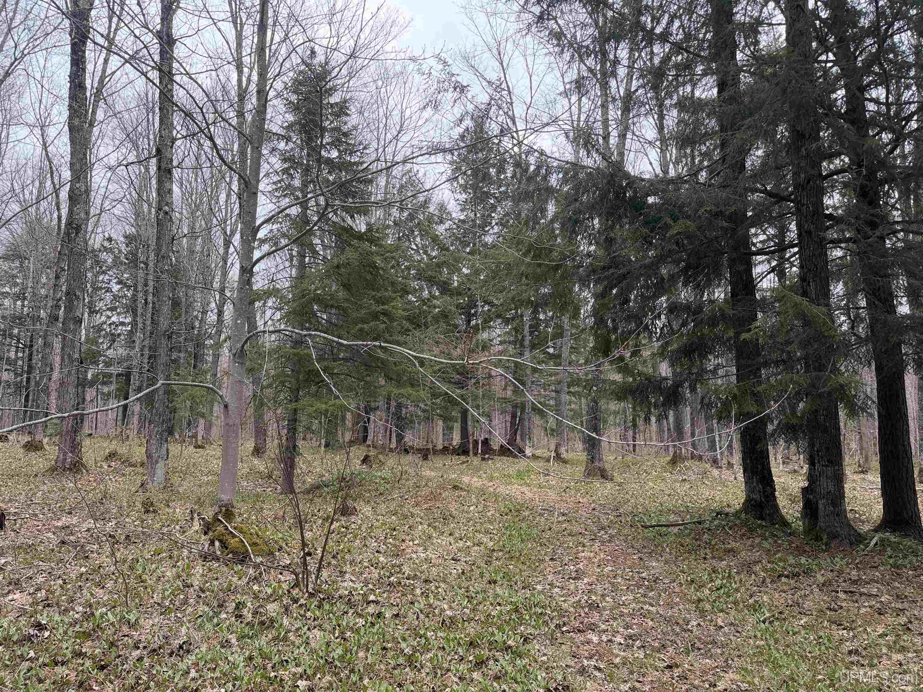 Tbd Lake Road Ironwood, MI 49938 - Photo 11 of 31