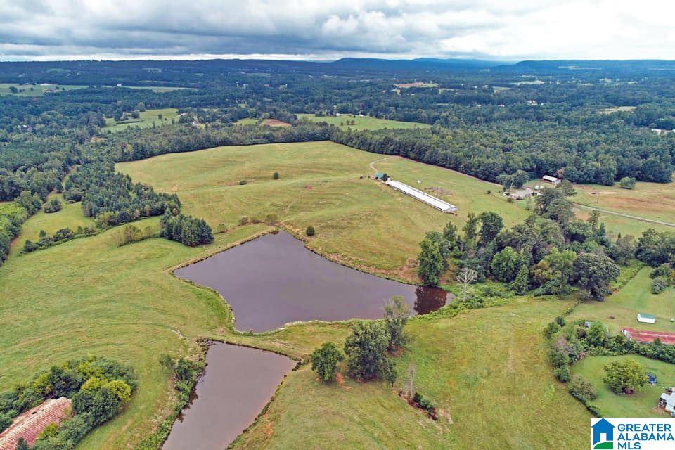 1099 Dailey Road, Unit 1 Altoona, AL 35952 - Photo 1 of 17