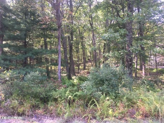 98 Forest Ridge Drive Hawley, PA 18428 - Photo 1 of 3