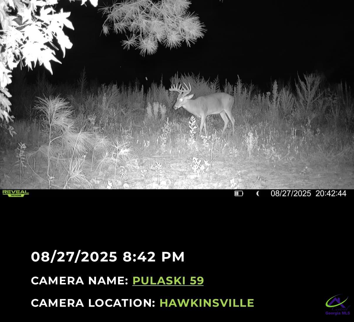 1 Tippettville Road Pineview, GA 31071 - Photo 7 of 39
