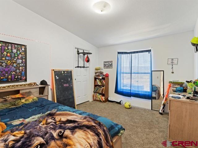 3308 2000th Road Delta, CO 81416 - Photo 17 of 32 a bedroom with a bed and a window