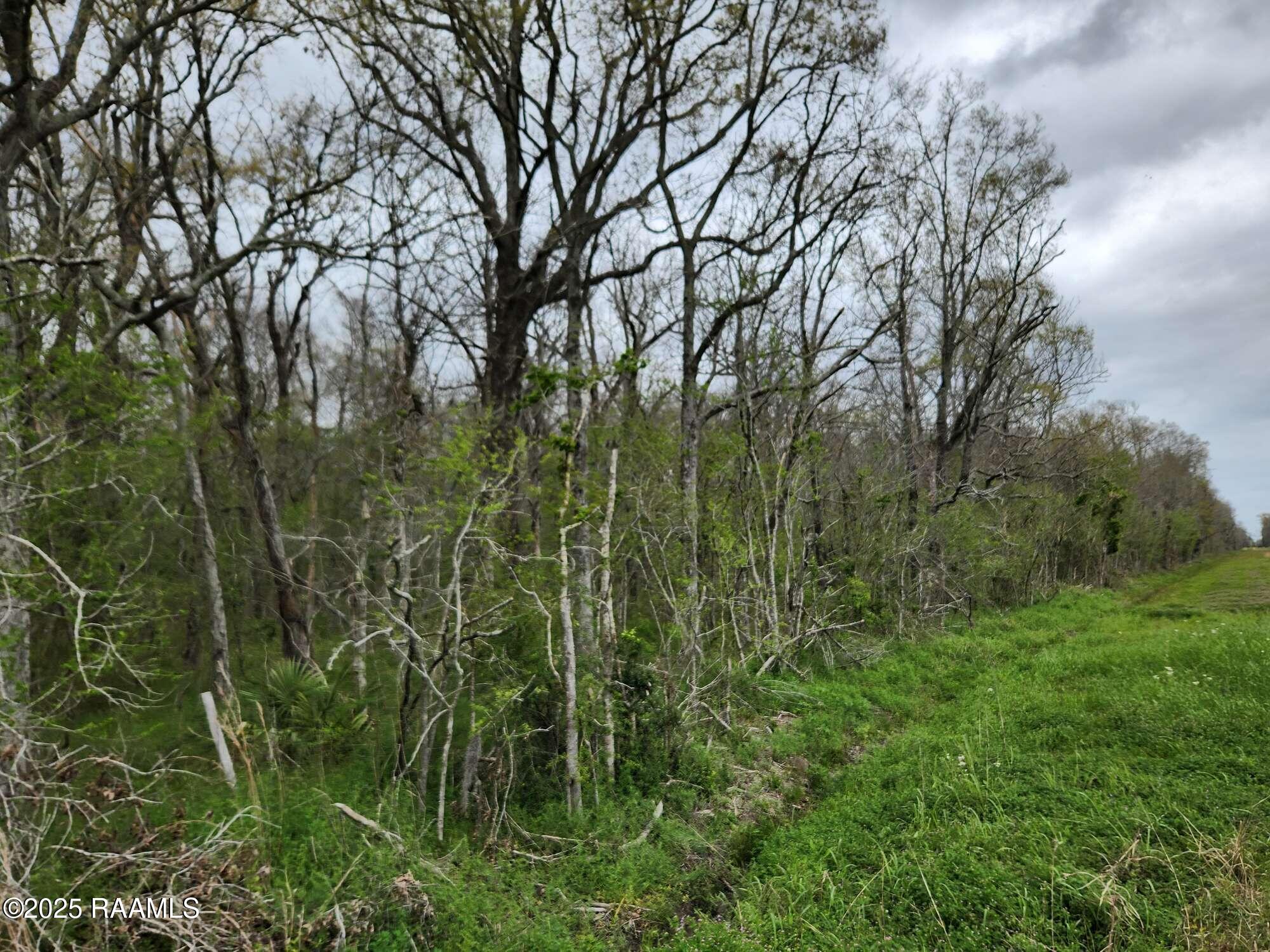 28 Section 28 Road St. Martinville, LA 70582 - Photo 12 of 12 Compress_20250323_091217_7807