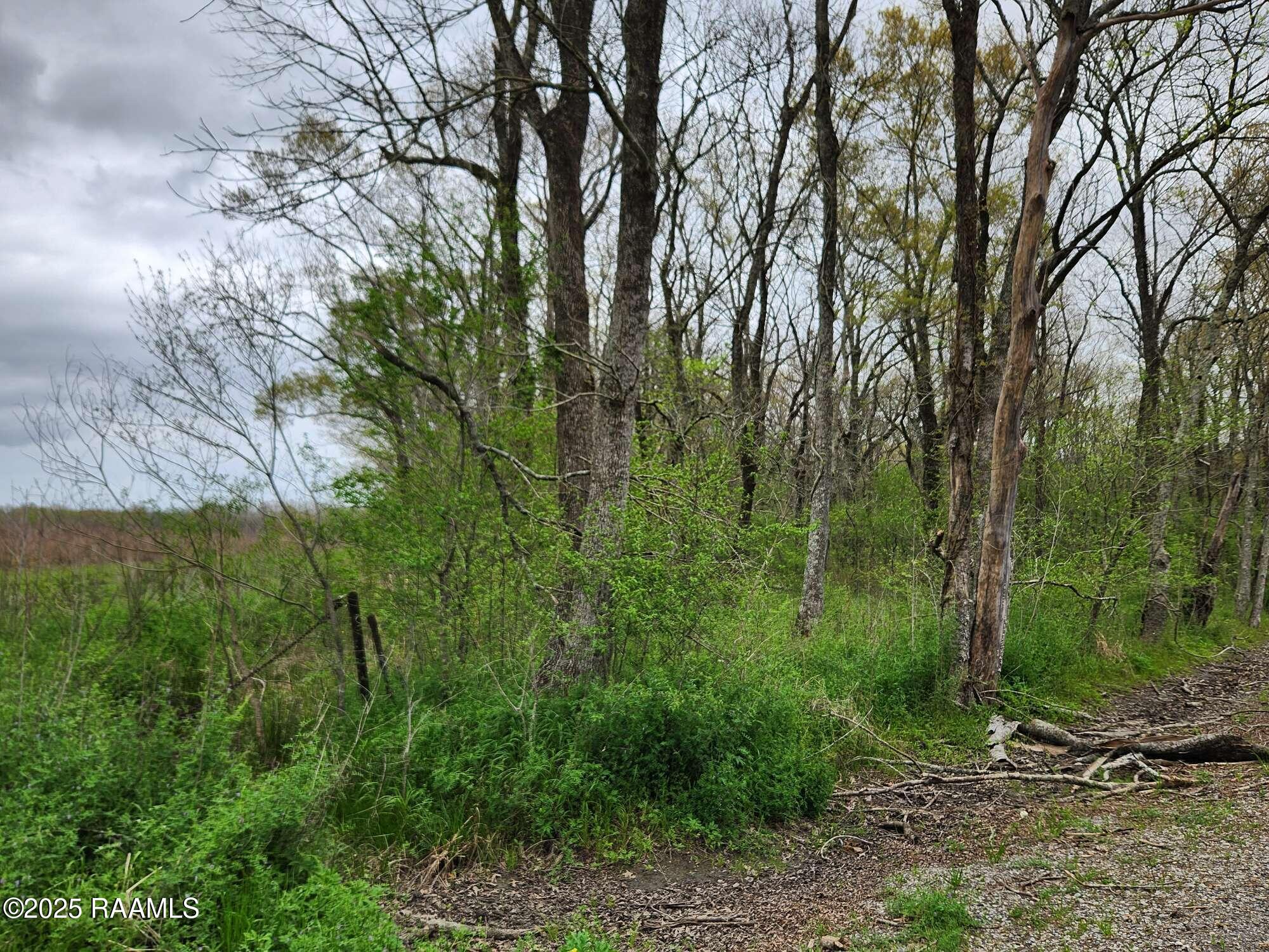 28 Section 28 Road St. Martinville, LA 70582 - Photo 3 of 12 Compress_20250323_091215_5739