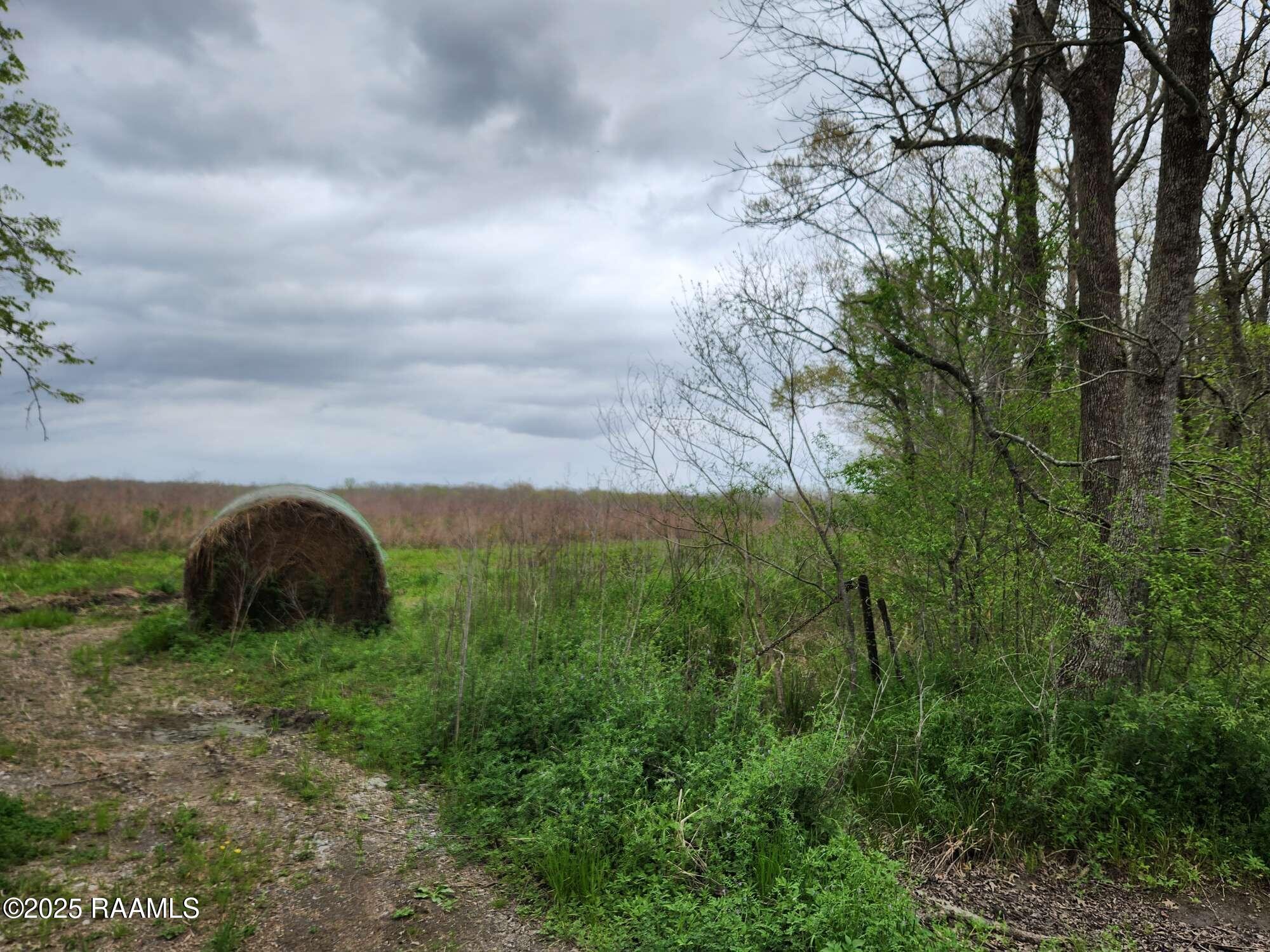 28 Section 28 Road St. Martinville, LA 70582 - Photo 4 of 12 Compress_20250323_091216_6009