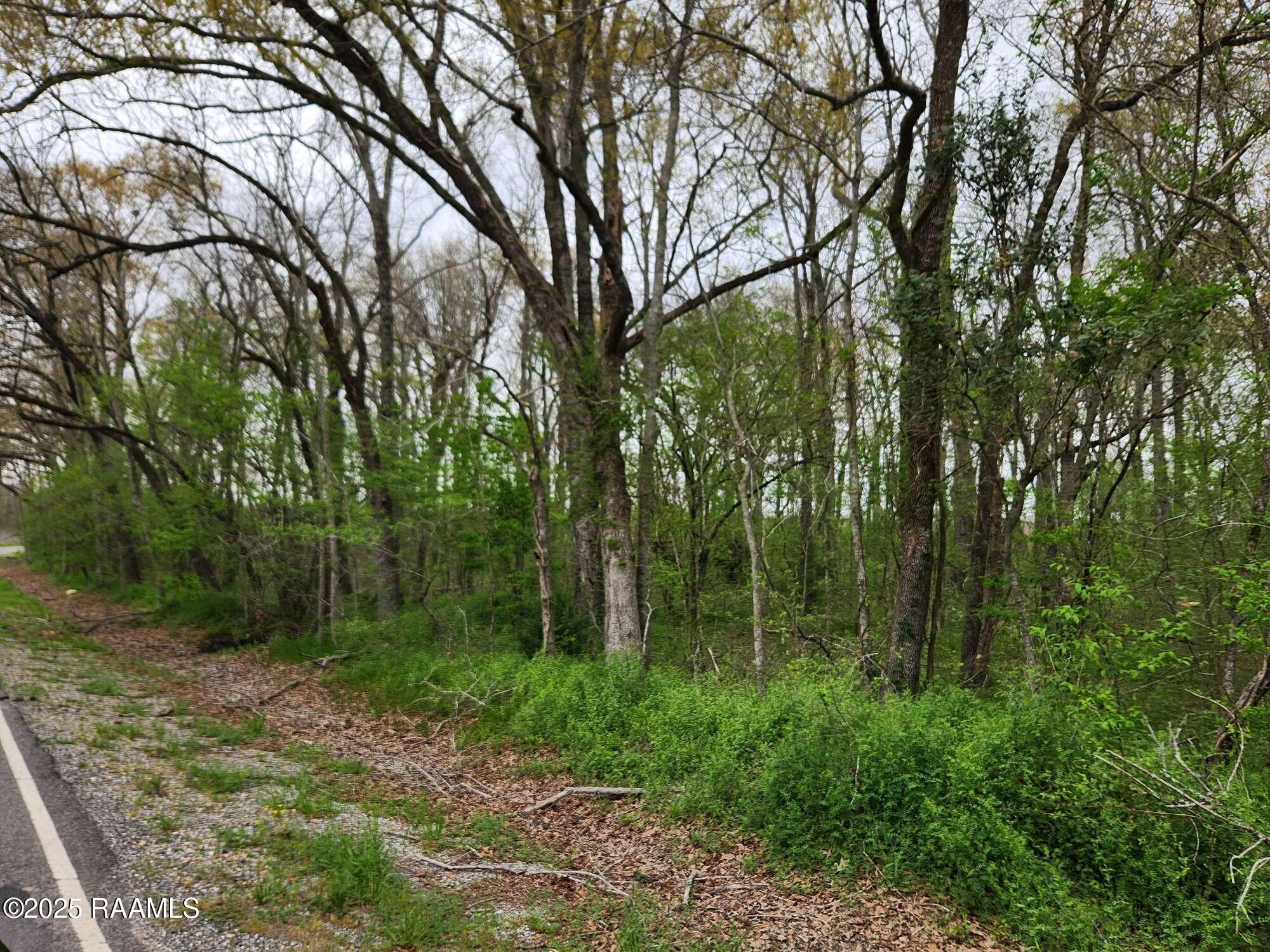 28 Section 28 Road St. Martinville, LA 70582 - Photo 5 of 12 Compress_20250323_091216_6272