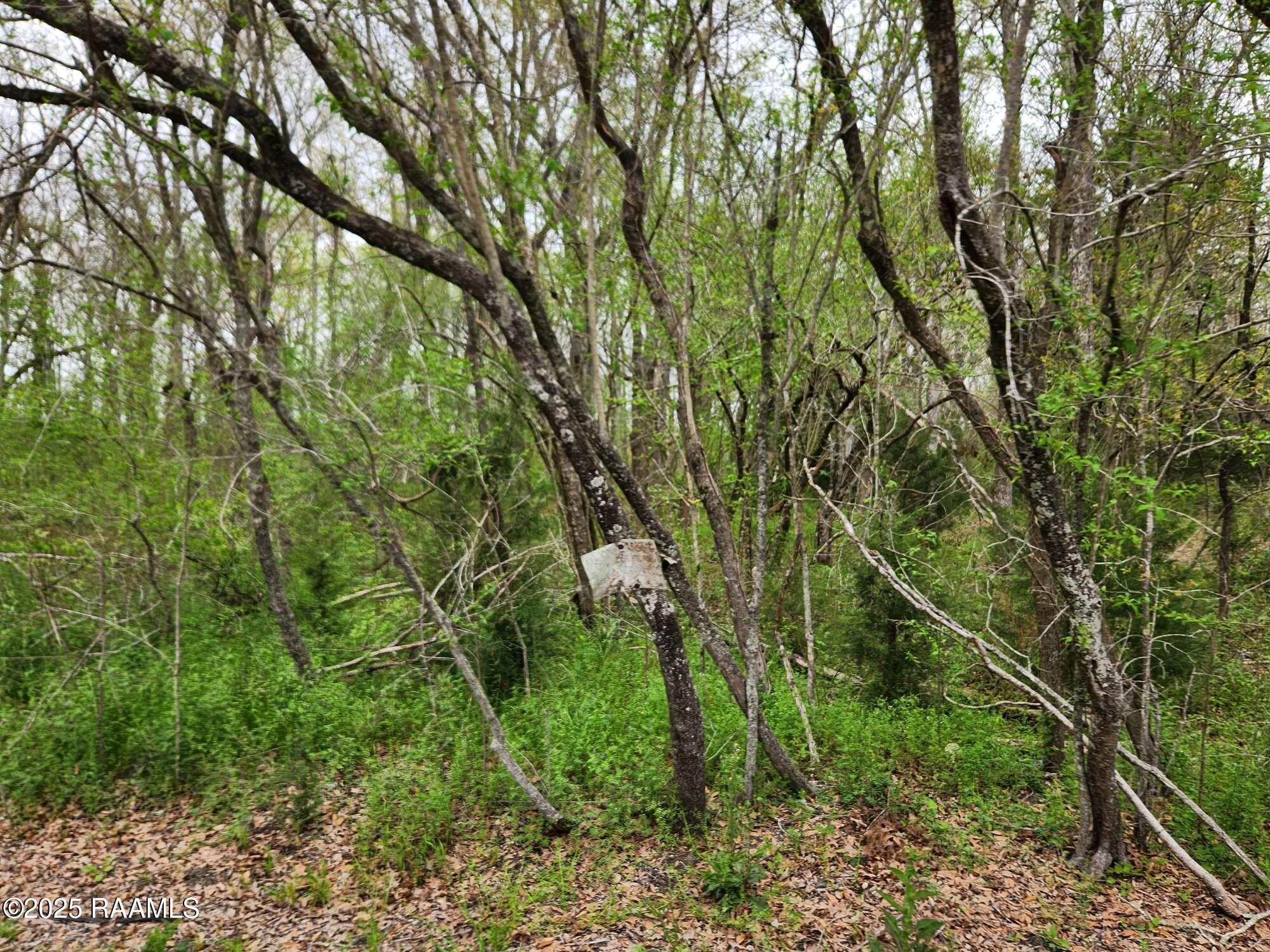 28 Section 28 Road St. Martinville, LA 70582 - Photo 6 of 12 Compress_20250323_091216_6500