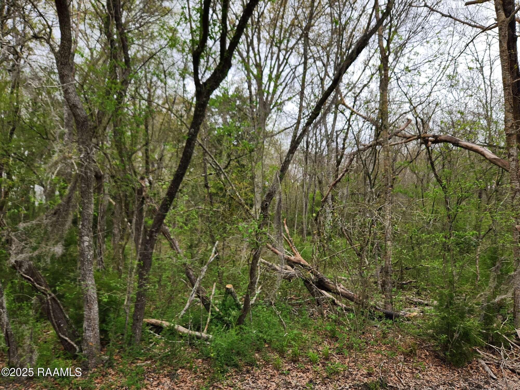 28 Section 28 Road St. Martinville, LA 70582 - Photo 9 of 12 Compress_20250323_091217_7171