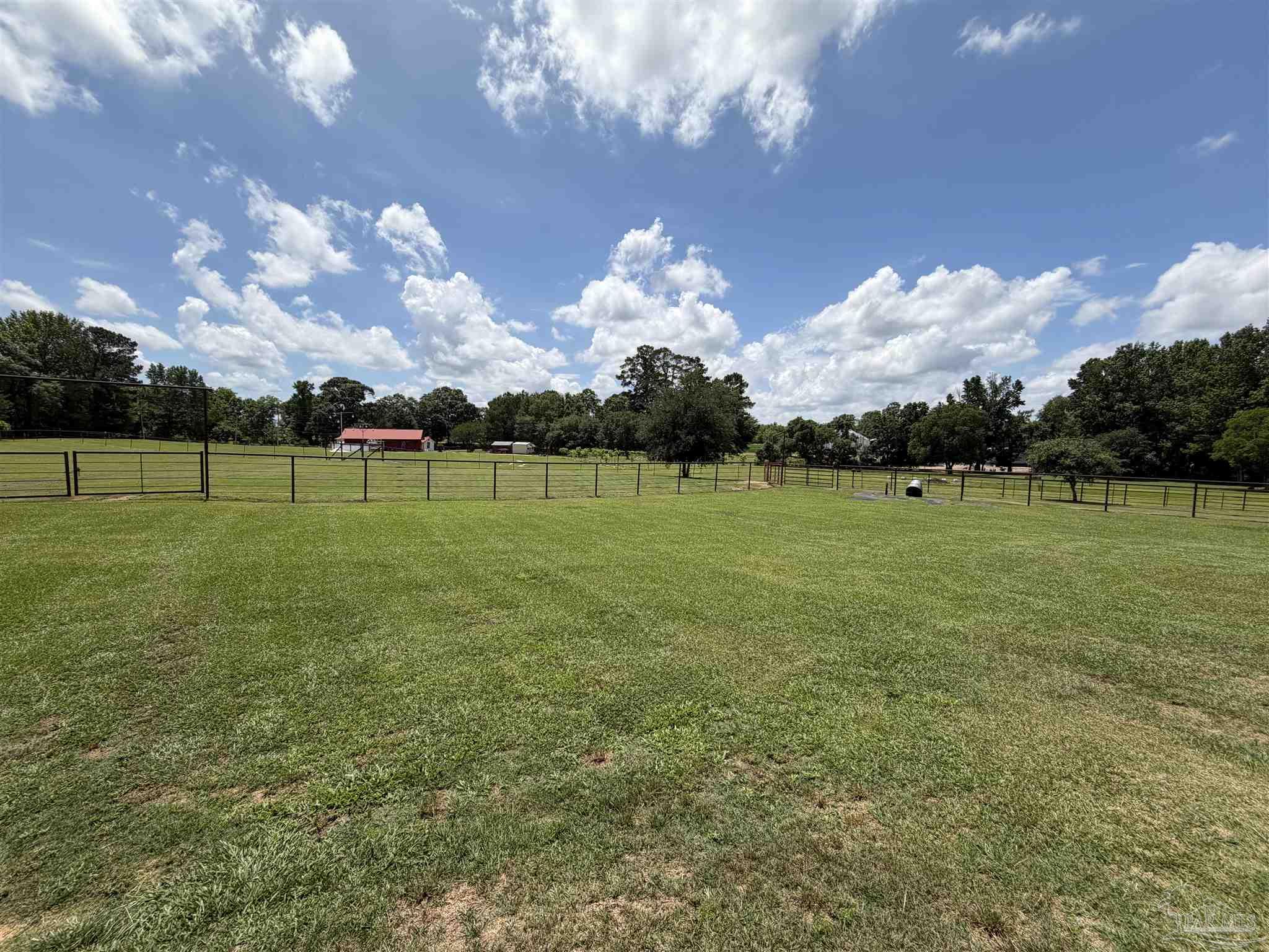 145 Tower Road Uriah, AL 36480 - Photo 51 of 72 a view of a golf course with a big yard